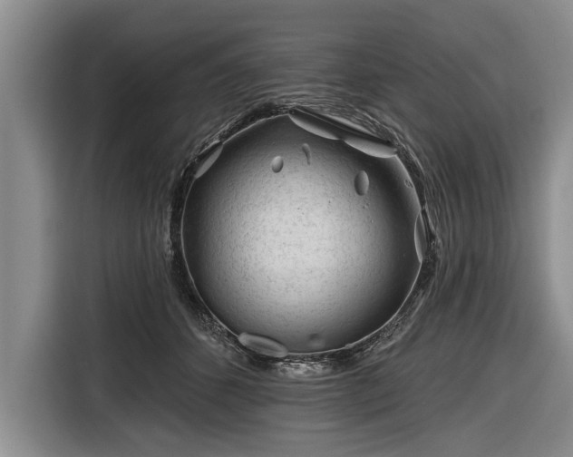 X0000116670512200912211606