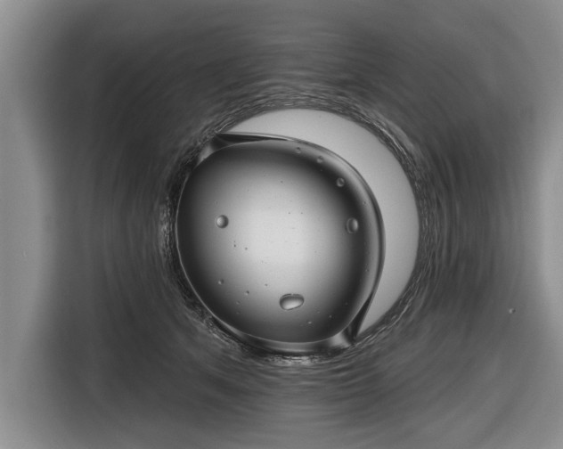 X0000116670513200912211606