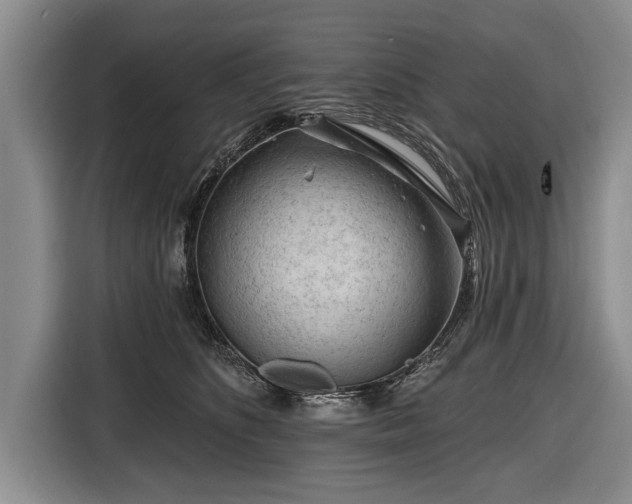 X0000116670516200912211606