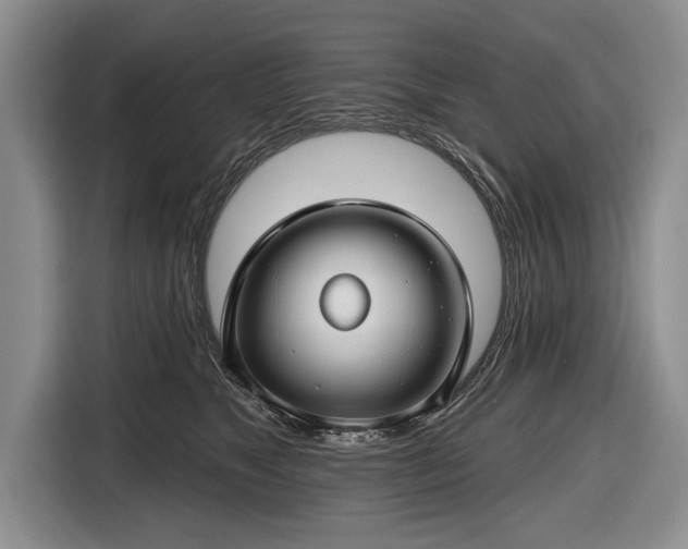 X0000116670517200912211606