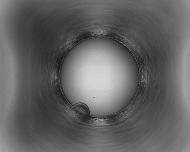 X0000116670518200912211606