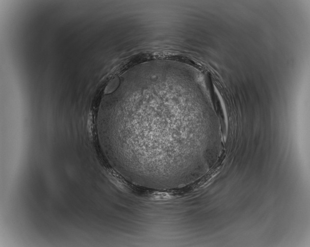 X0000116670519200912211606