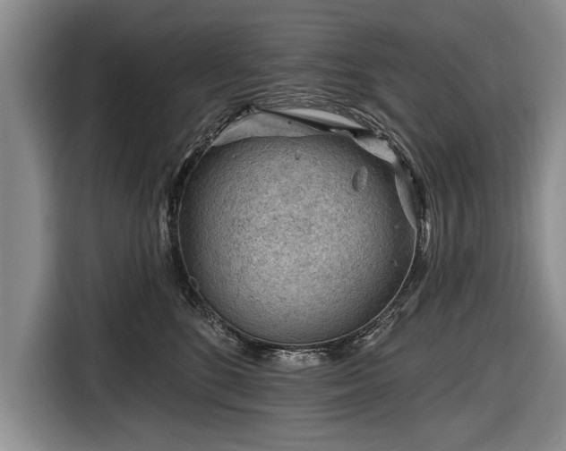 X0000116670520200912211606