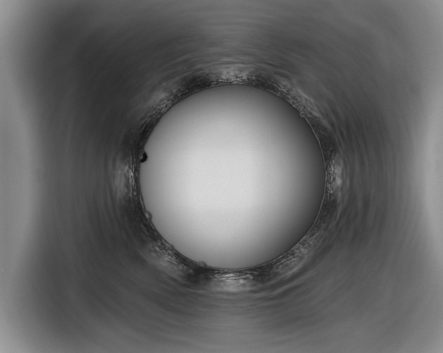 X0000116670522200912211606