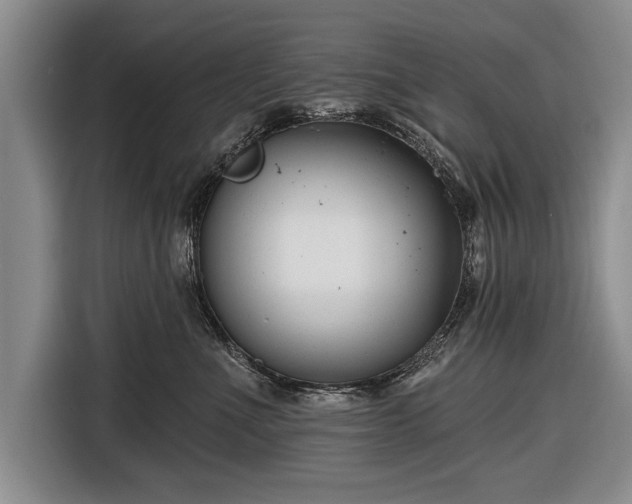 X0000116670523200912211606