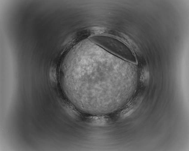 X0000116670524200912211606