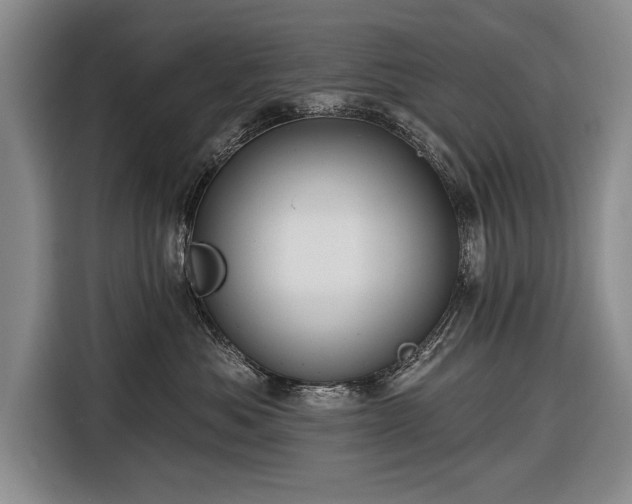 X0000116670525200912211606