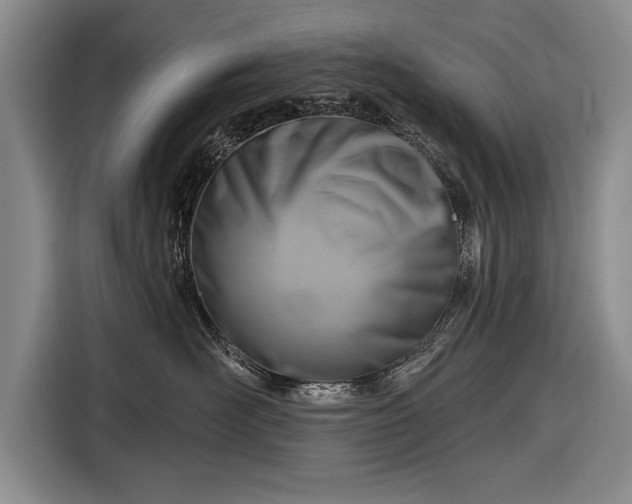 X0000116670526200912211606