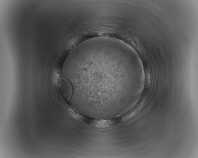 X0000116670527200912211606