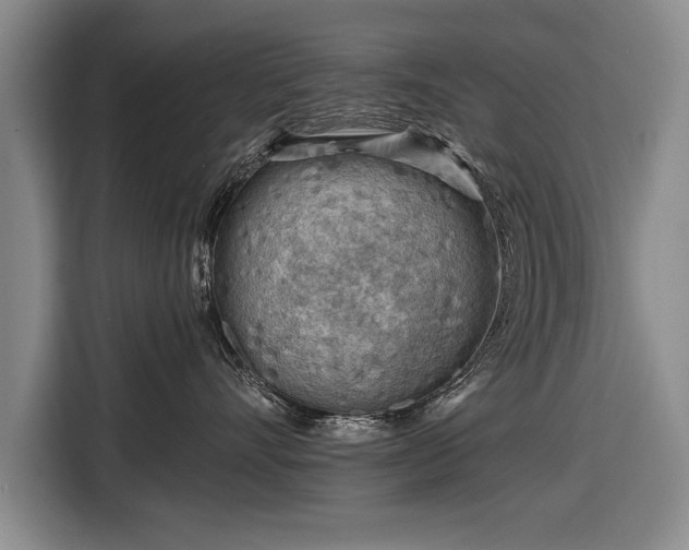 X0000116670528200912211606