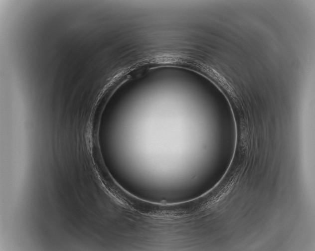 X0000116670530200912211605