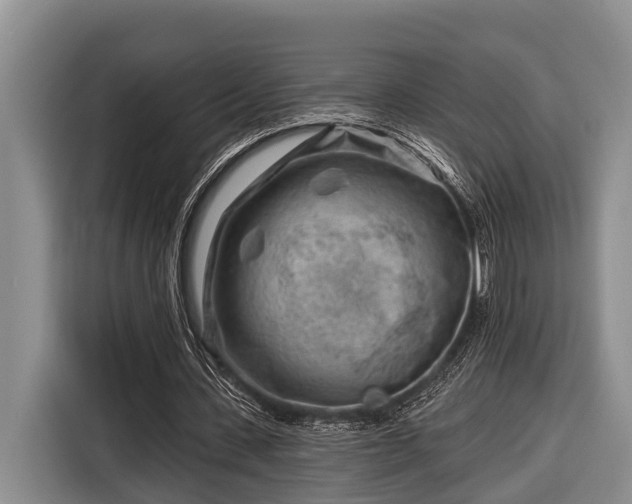 X0000116670531200912211605