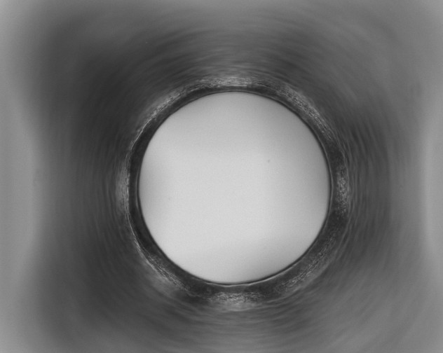 X0000116670534200912211605