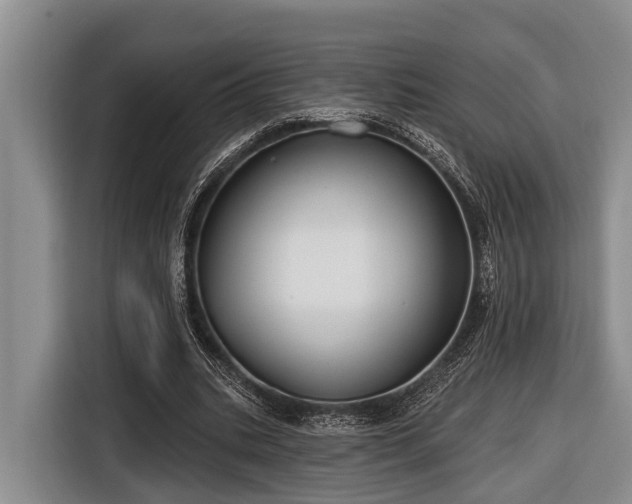 X0000116670535200912211605