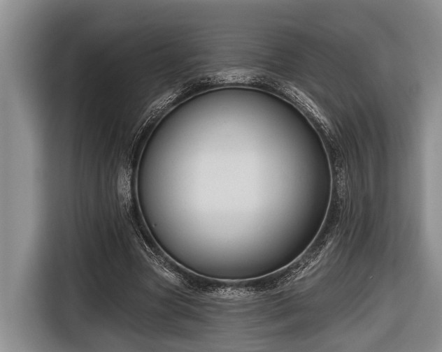 X0000116670537200912211605