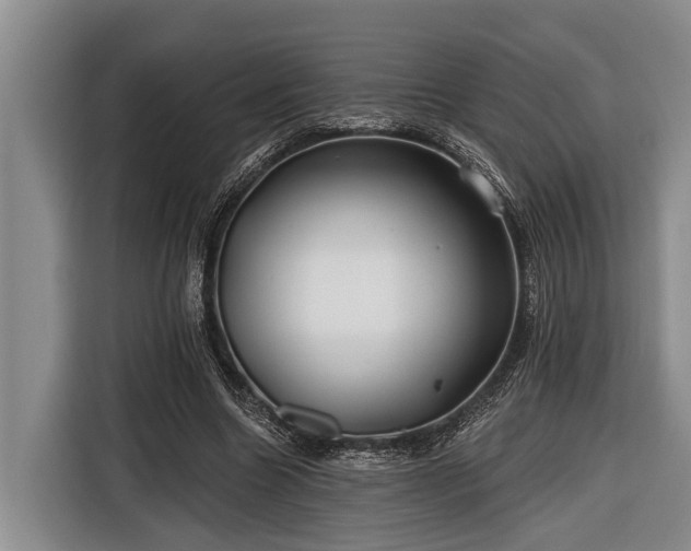 X0000116670538200912211605