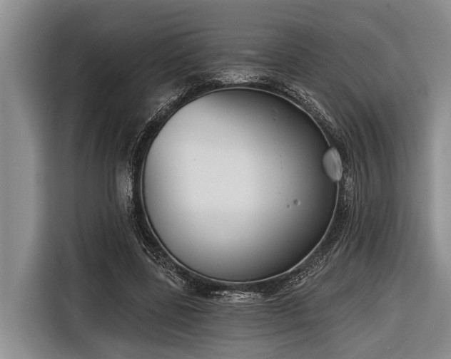 X0000116670539200912211605