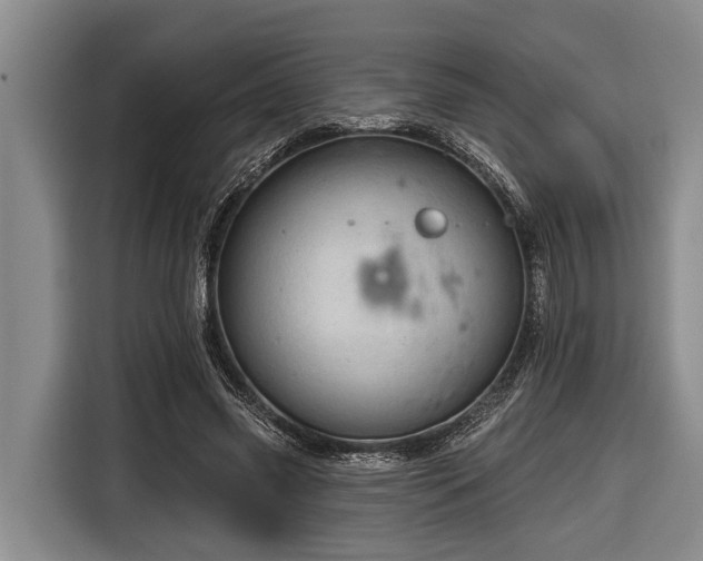 X0000116670541200912211605