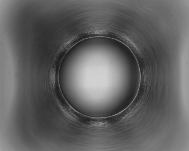 X0000116670542200912211605