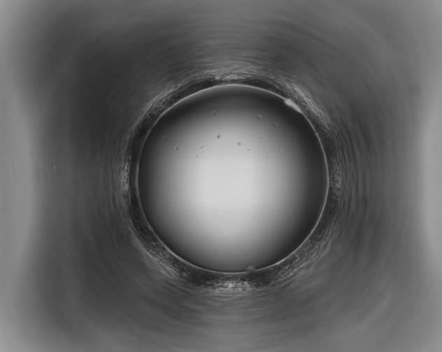 X0000116670543200912211605