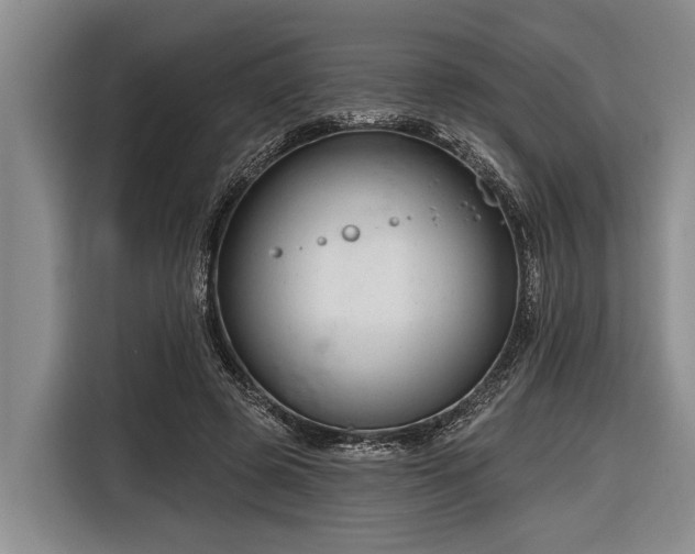 X0000116670545200912211605