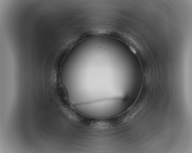 X0000116670546200912211605