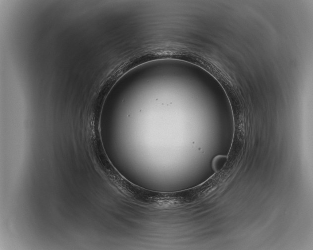 X0000116670547200912211606