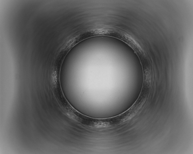 X0000116670549200912211606