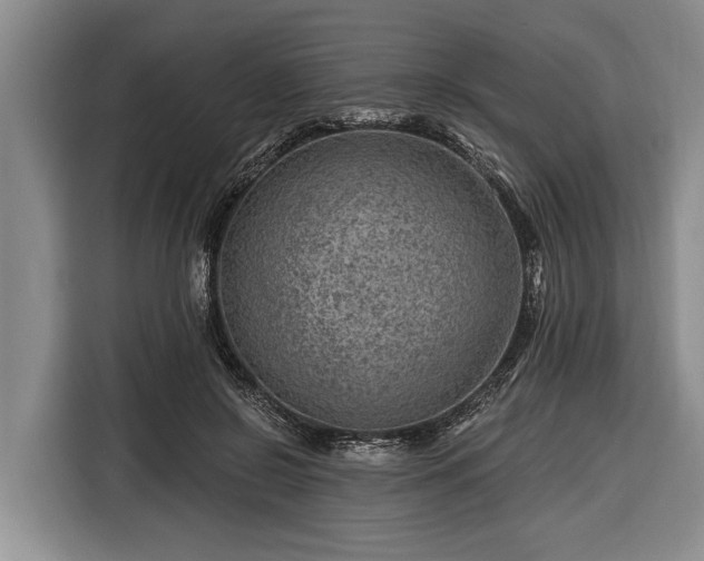 X0000116670550200912211606