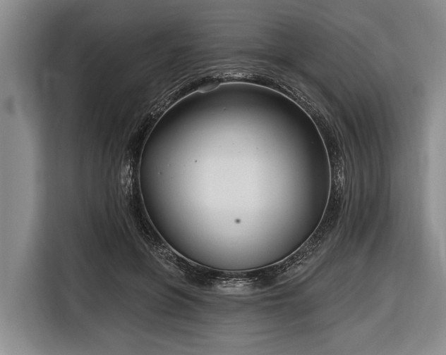 X0000116670551200912211606