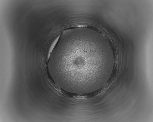 X0000116670553200912211606