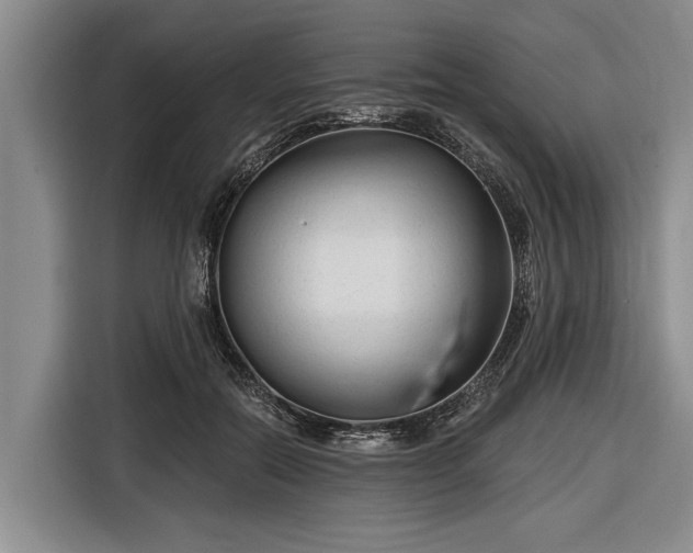 X0000116670554200912211606