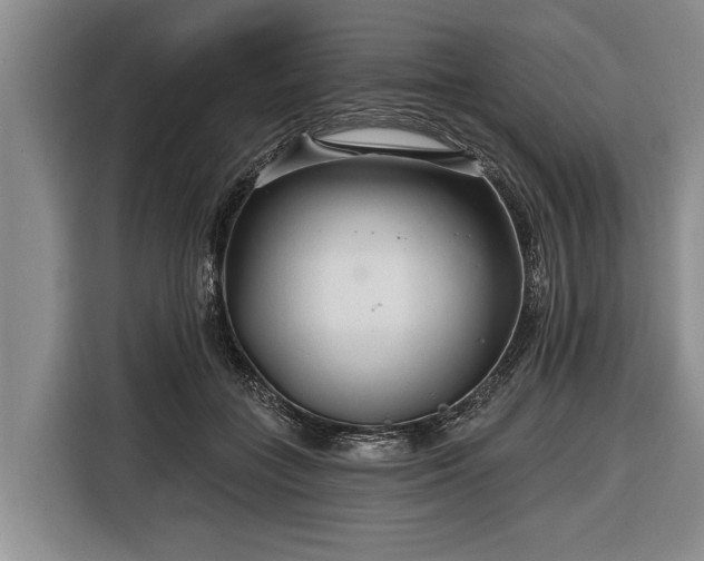 X0000116670555200912211606