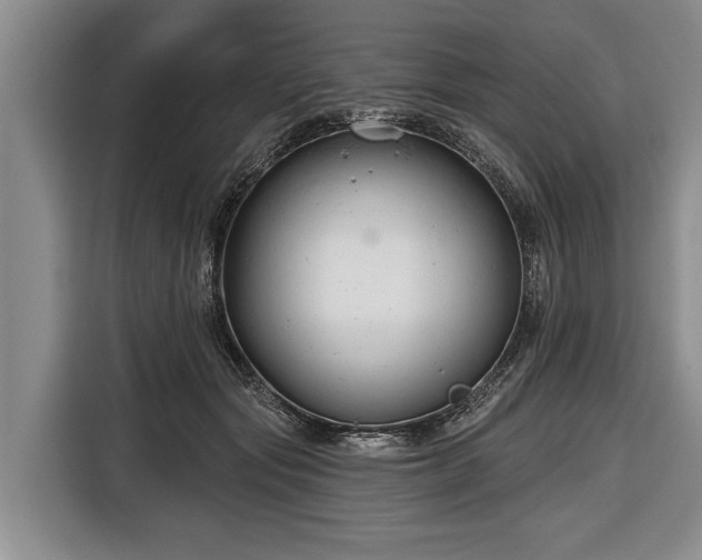 X0000116670557200912211606