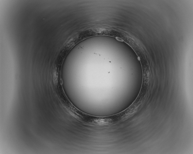 X0000116670558200912211606