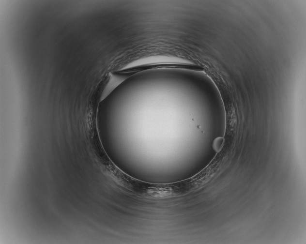 X0000116670559200912211606