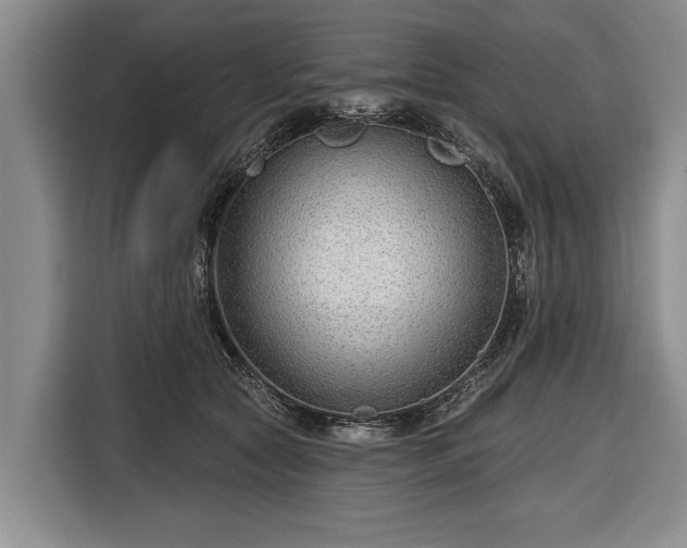 X0000116670561200912211606