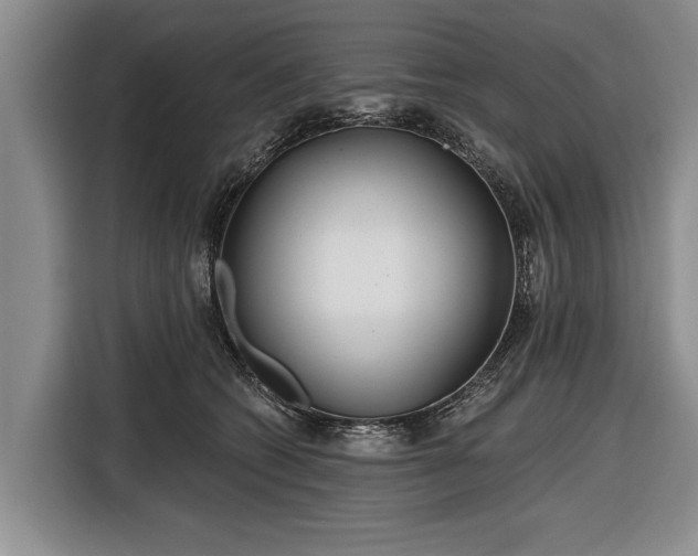 X0000116670562200912211606