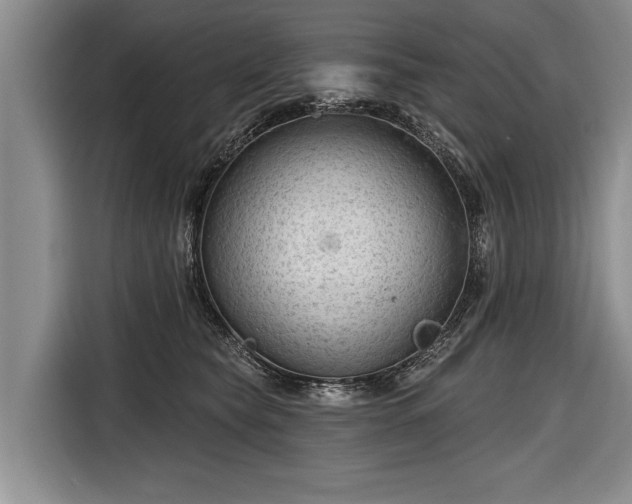 X0000116670565200912211606