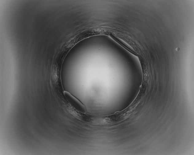 X0000116670566200912211606