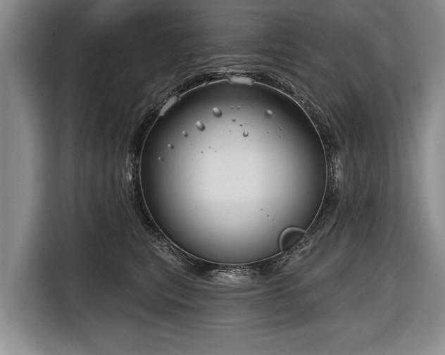 X0000116670567200912211606