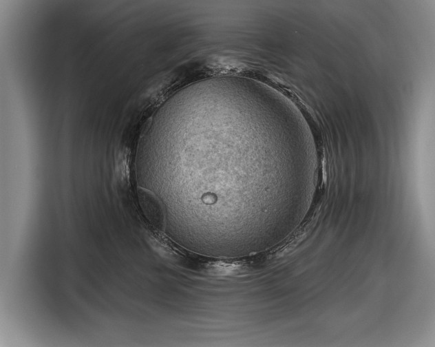 X0000116670570200912211606