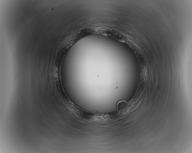 X0000116670571200912211606