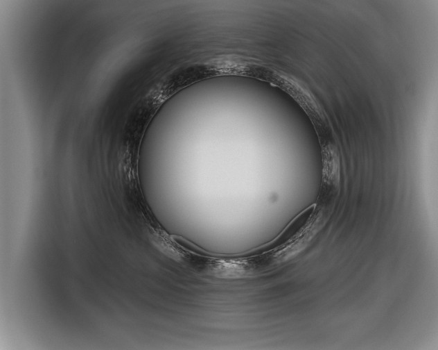 X0000116670573200912211606