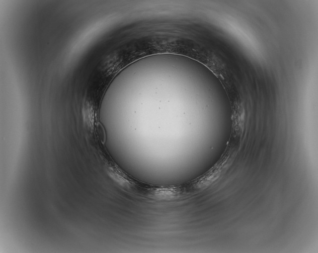 X0000116670574200912211606