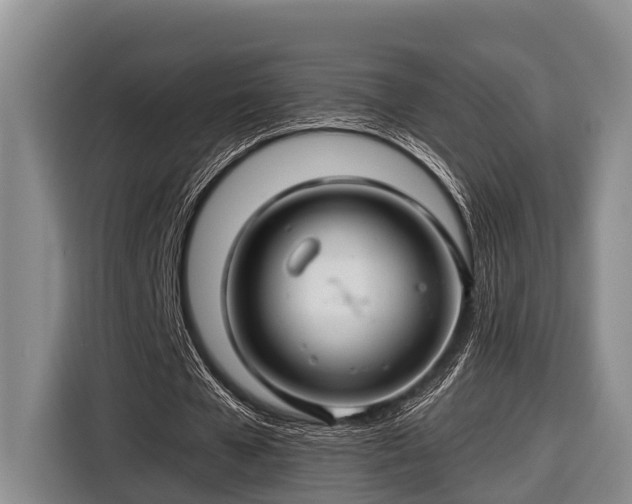 X0000116670577200912211605