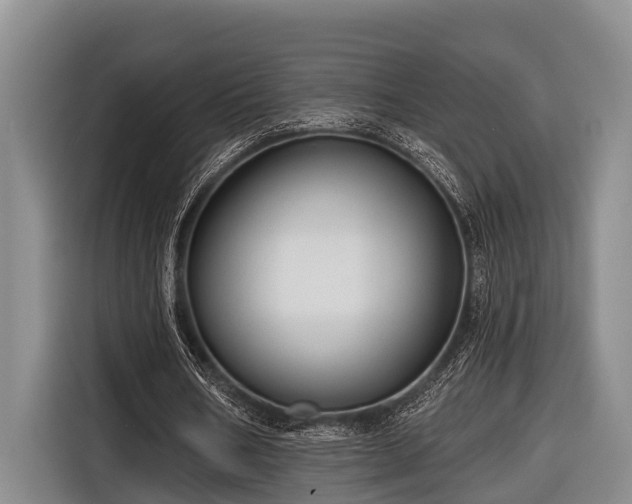 X0000116670578200912211605