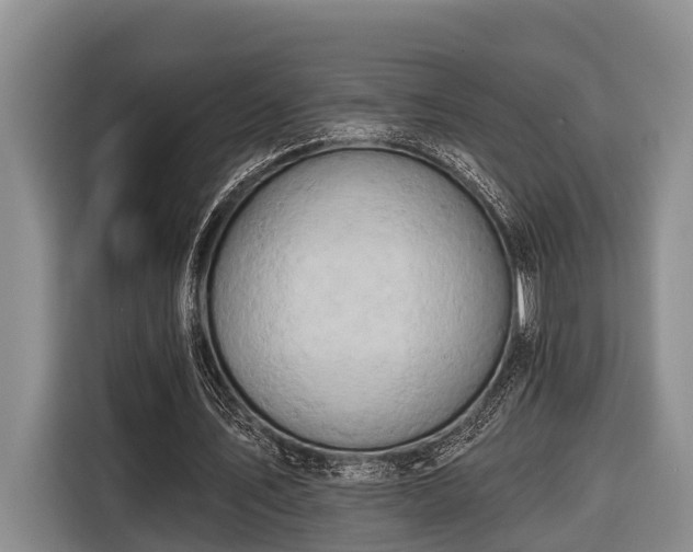 X0000116670579200912211605