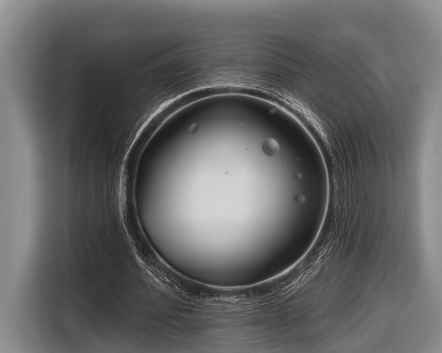 X0000116670580200912211605