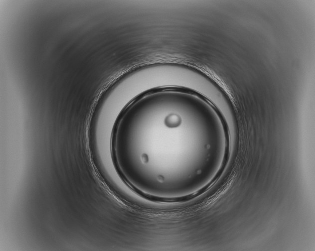 X0000116670581200912211605